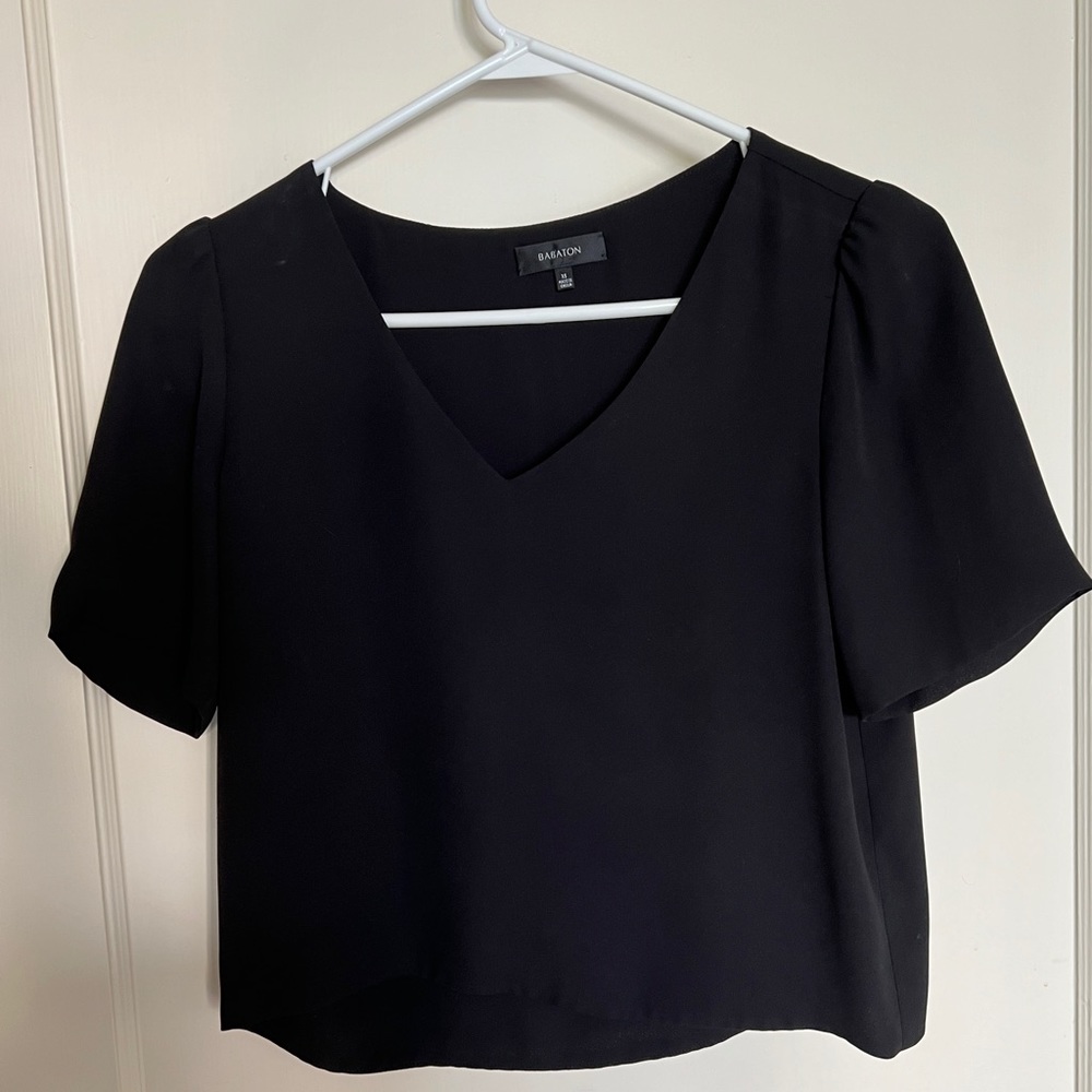 Aritzia Babaton Silk Shirt